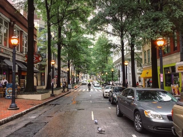 cars parked on the side of a street next to tall trees and people walking down the sidewalk