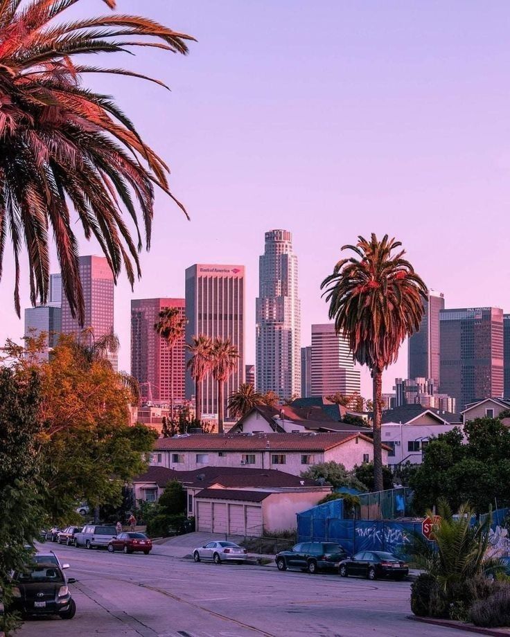 the city skyline is shown with palm trees in the foreground and parked cars on the street