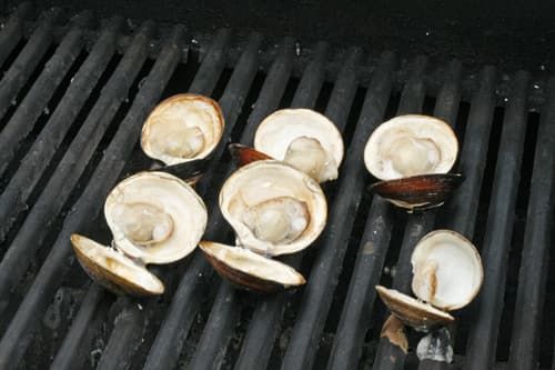 some clams are cooking on a grill