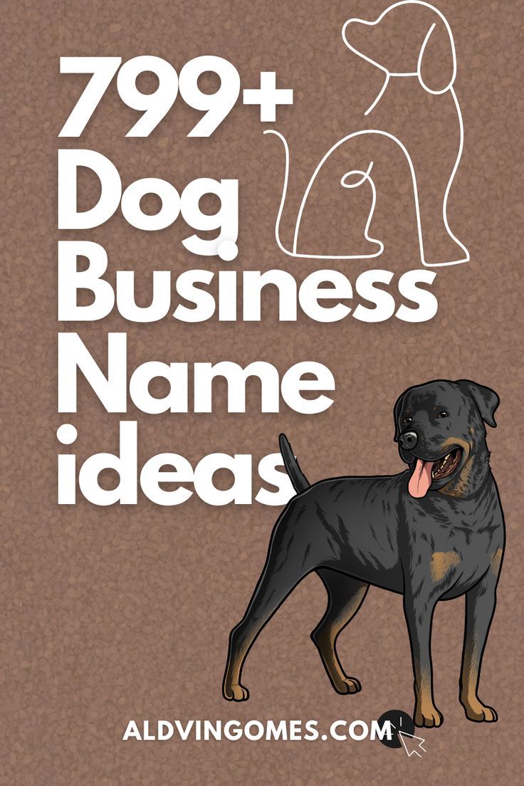 Dog Business Names, Dog Breeding Business Names, Dog Business Name Ideas, Dog Grooming Business Names, Dog Kennel Business Names, Dog Sitting Business Names, Dog Training Business Names, Dog Treat Business Names Dog Daycare Ideas Business, Pet Grooming Marketing Ideas, How To Start A Dog Breeding Business, Vet Clinic Name Ideas, Dog Boarding Business Names, Petshop Names Ideas, Pet Business Name Ideas, Dog Grooming Names Ideas, Dog Grooming Business Names