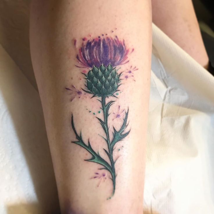 a thistle flower tattoo on the leg