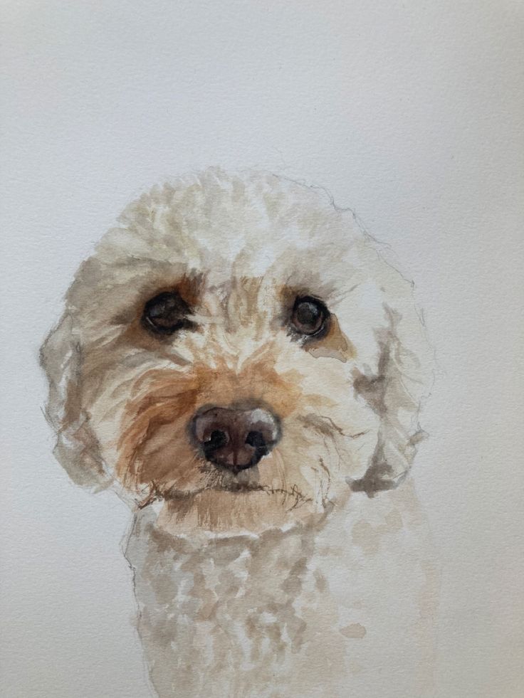 a watercolor painting of a dog's face with brown and white fur on it