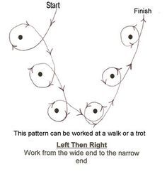 the diagram shows how to draw fish in different ways