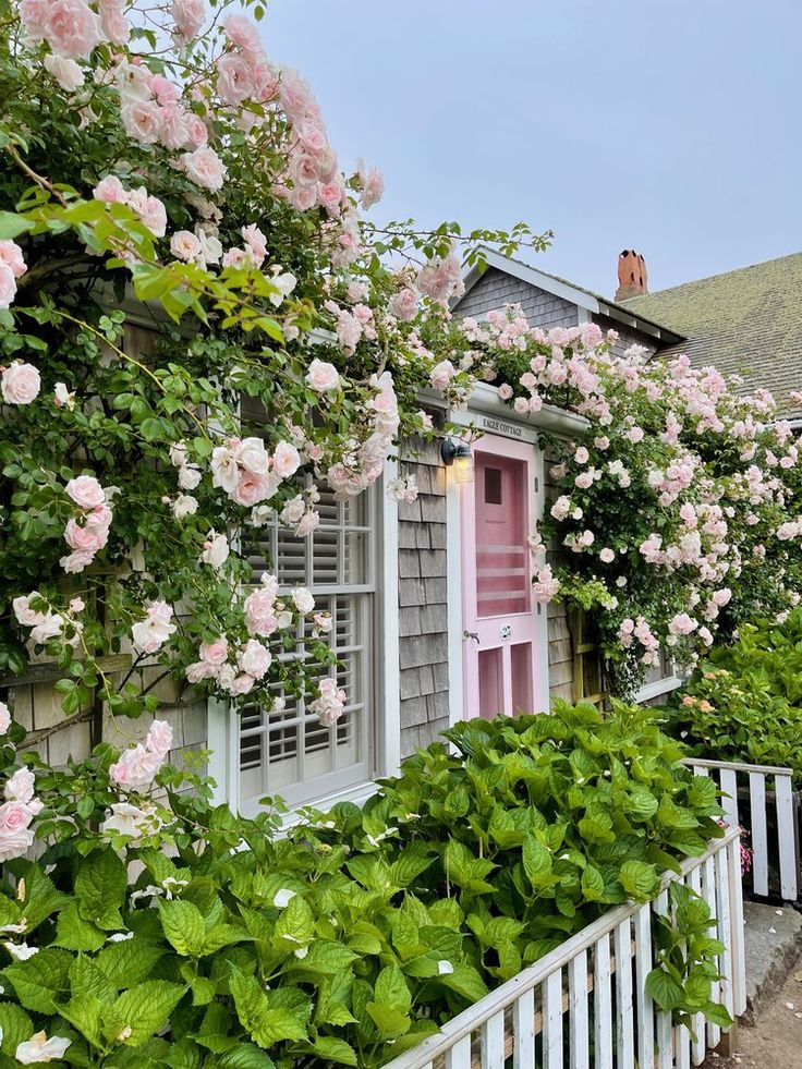 pink flowers are growing on the side of a house