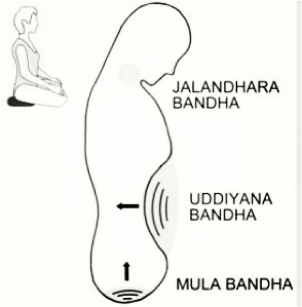 the diagram shows how to use an electric device for massages and back pain relief