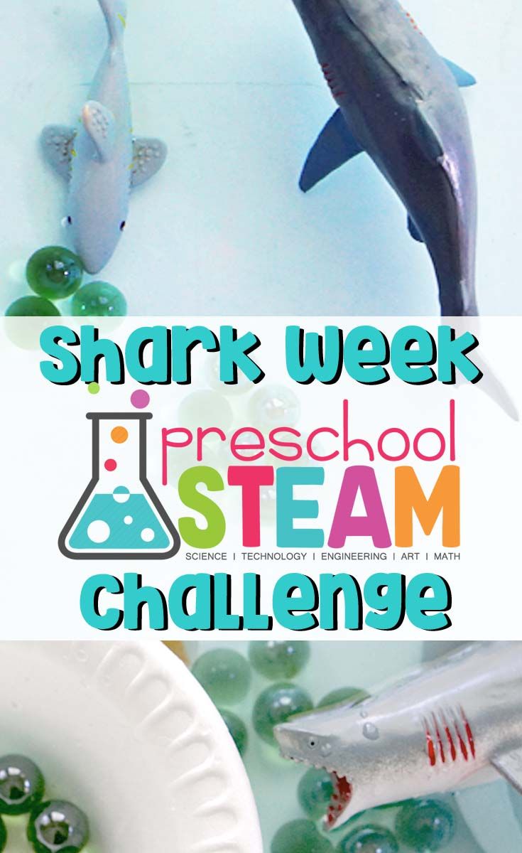 shark week preschool steam challenge for kids to learn how to use the science experiment