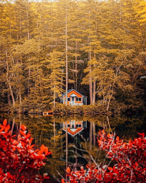 a small house in the middle of a forest with red leaves on it's trees