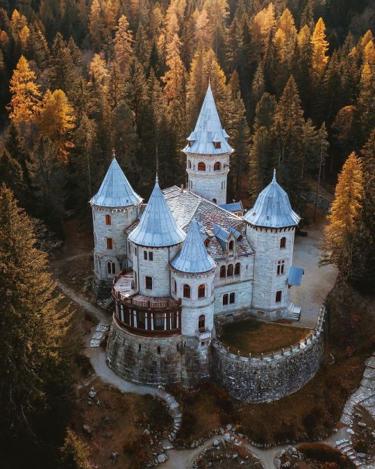 an aerial view of a castle surrounded by trees