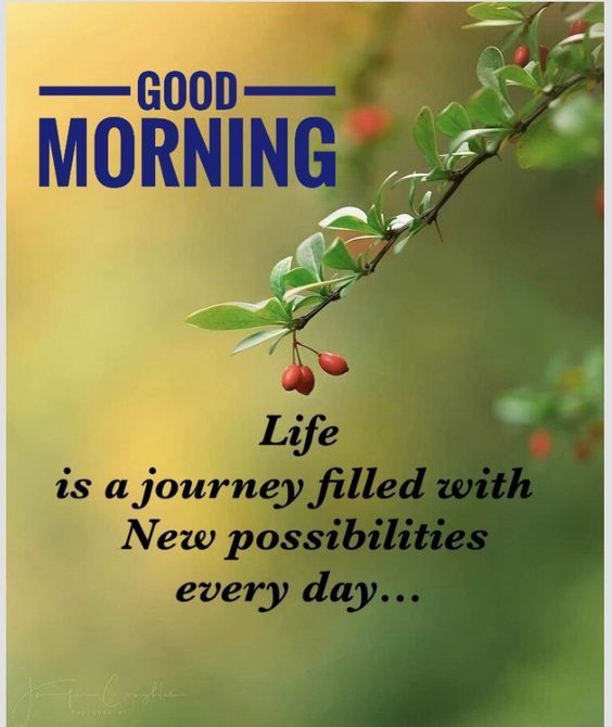 a quote on good morning with berries hanging from a branch and the words life is a journey filled with new possibilities every day