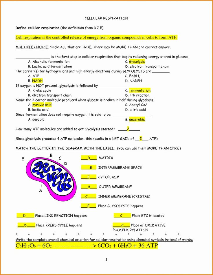 the worksheet is filled with information for students to use