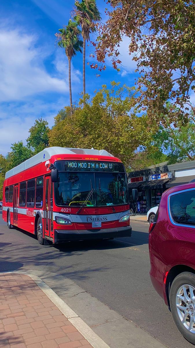 a red bus driving down a street next to a red car and palm tree in the background