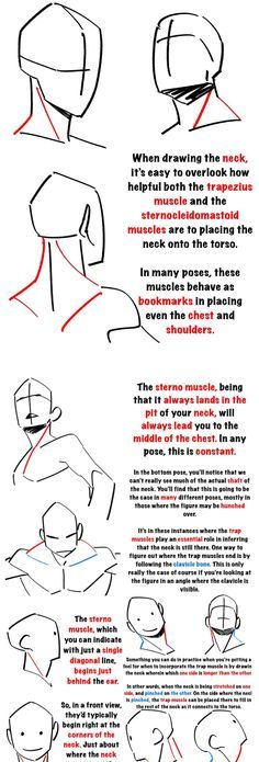 how to draw the head and neck in 3 easy steps step by step instructions for beginners