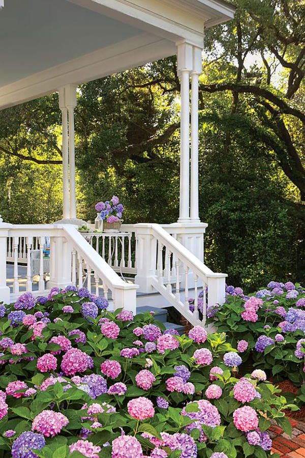 a white porch with purple and pink flowers in the foreground