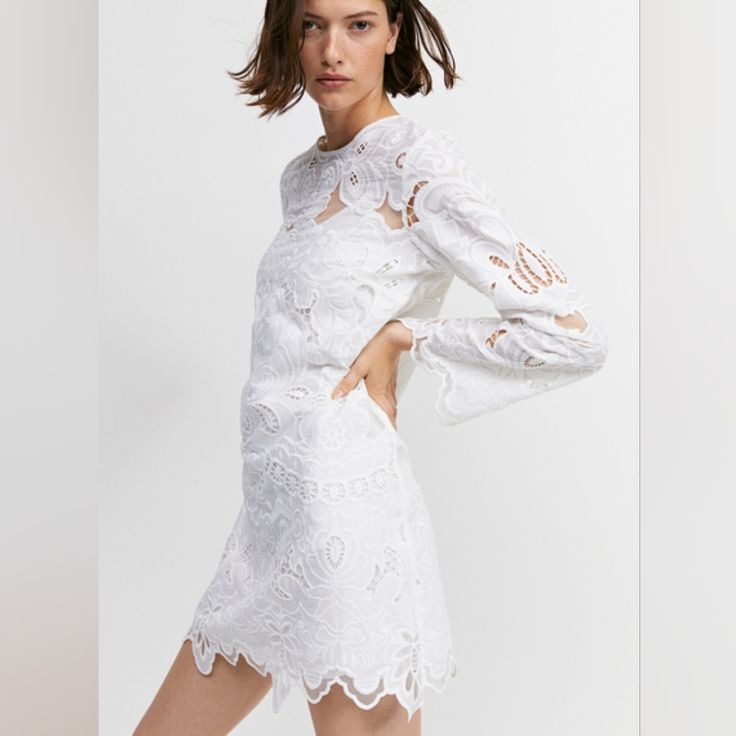 Short Dress In Woven Fabric With Broderie Anglaise. Round Neckline And An Opening With A Concealed Button At The Back Of The Neck. Long, Flared Sleeves And A Gently A-Line Skirt. Scalloped Edges At The Cuffs And Hem. Underdress In A Soft Viscose Weave With Narrow, Adjustable Shoulder Straps. White Fitted Eyelet Dress, Fitted White Eyelet Dress, Daywear Mini Dress With Scalloped Lace, Long Sleeve Eyelet Dresses For Spring, Elegant Dresses With Scalloped Edges For Daywear, Elegant Scalloped Edge Day Dresses, Elegant Fitted Lace Dress With Broderie Anglaise, White Eyelet Dress For Brunch, White Eyelet Fitted Mini Dress