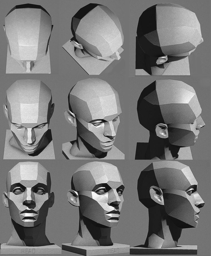 several different angles of the head of a person with multiple facial shapes and haircuts