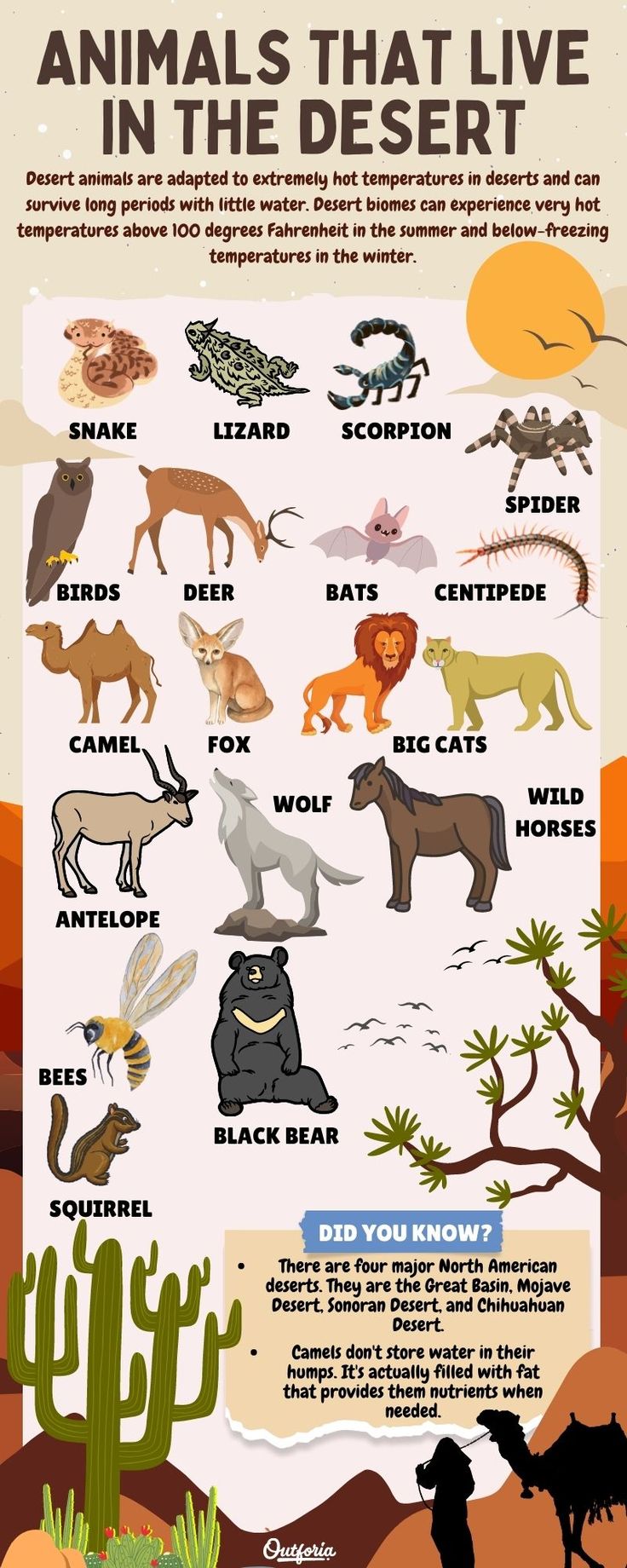 animals that live in the desert are shown with their names and pictures on them, including an