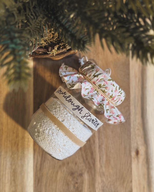 a christmas ornament hanging from the top of a pine tree with ribbon on it