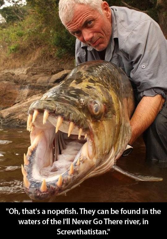 a man holding a large fish with its mouth open