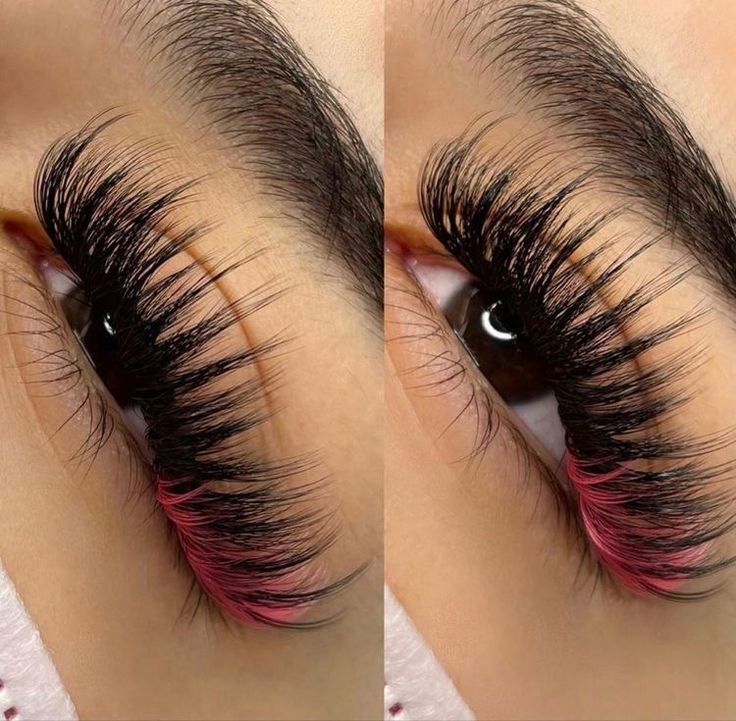 Color Lash Extensions, Cat Eye Eyeliner, Lashes Fake Eyelashes, Lash Styles, Short Lashes, Lash Extensions Styles, Eyelash Extensions Styles, Volume Lash Extensions, Perfect Eyelashes