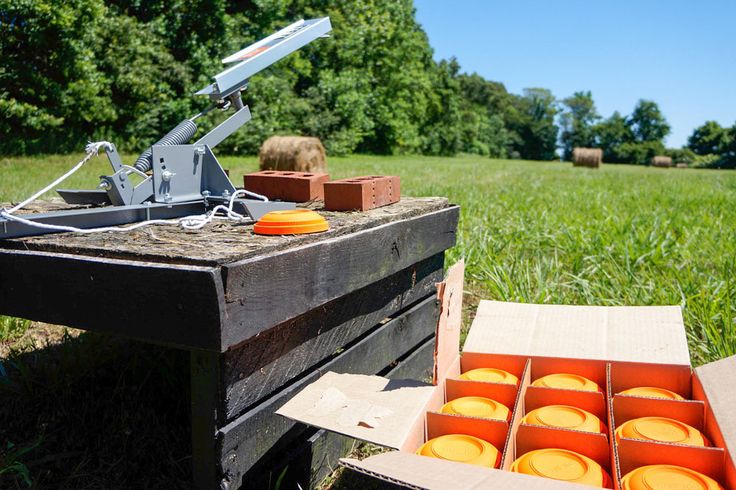 an open box with oranges in it sitting next to a wooden carton on the grass