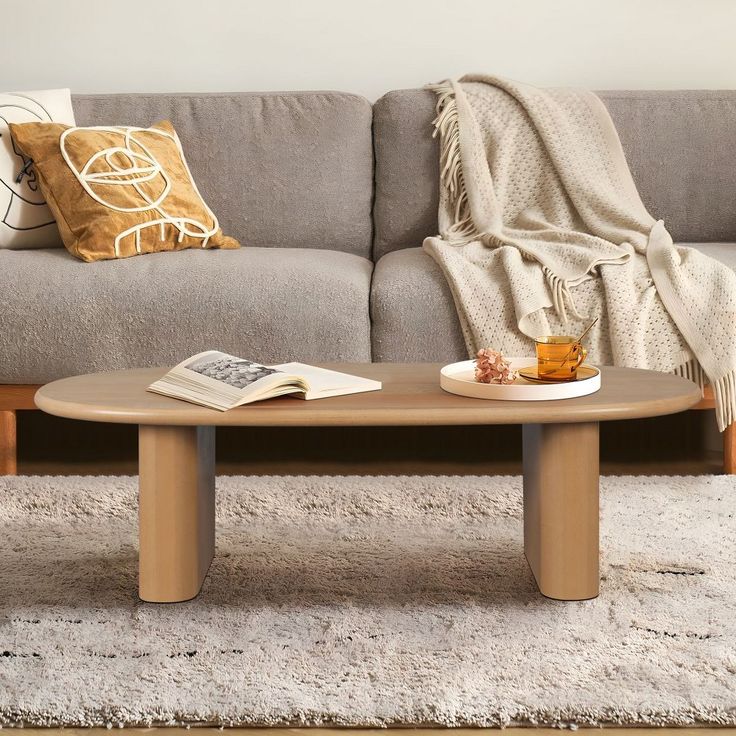 a living room with a couch, coffee table and throw pillows on the rugs