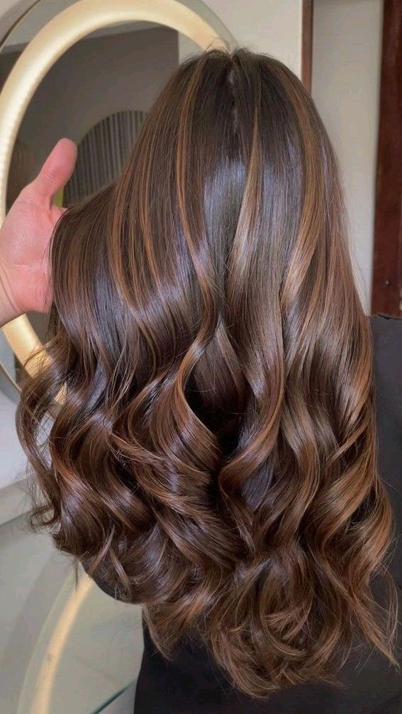 Highlight Colours For Brown Hair, Brown Global Hair Color With Highlights, Winter Hair Colours Brunette, Coffee Bean Brown Hair, Blonde Chocolate Hair, Winter Dark Brown Hair, Brown Hair Colours Ideas, Brunette Hair For Winter, Brown Girls Hair Color Ideas