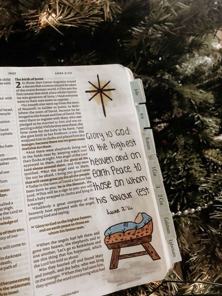 a christmas tree with an open bible on it