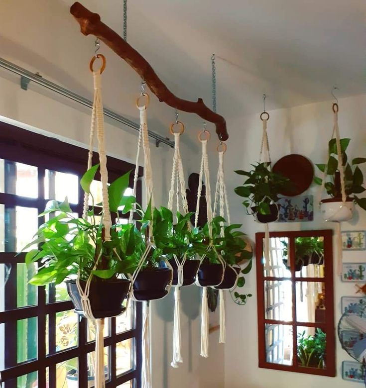 hanging planters with plants in them on the wall