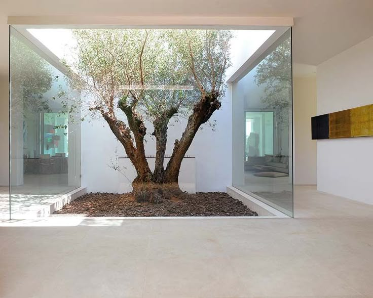 a living room with couches and a large tree in the middle of the room