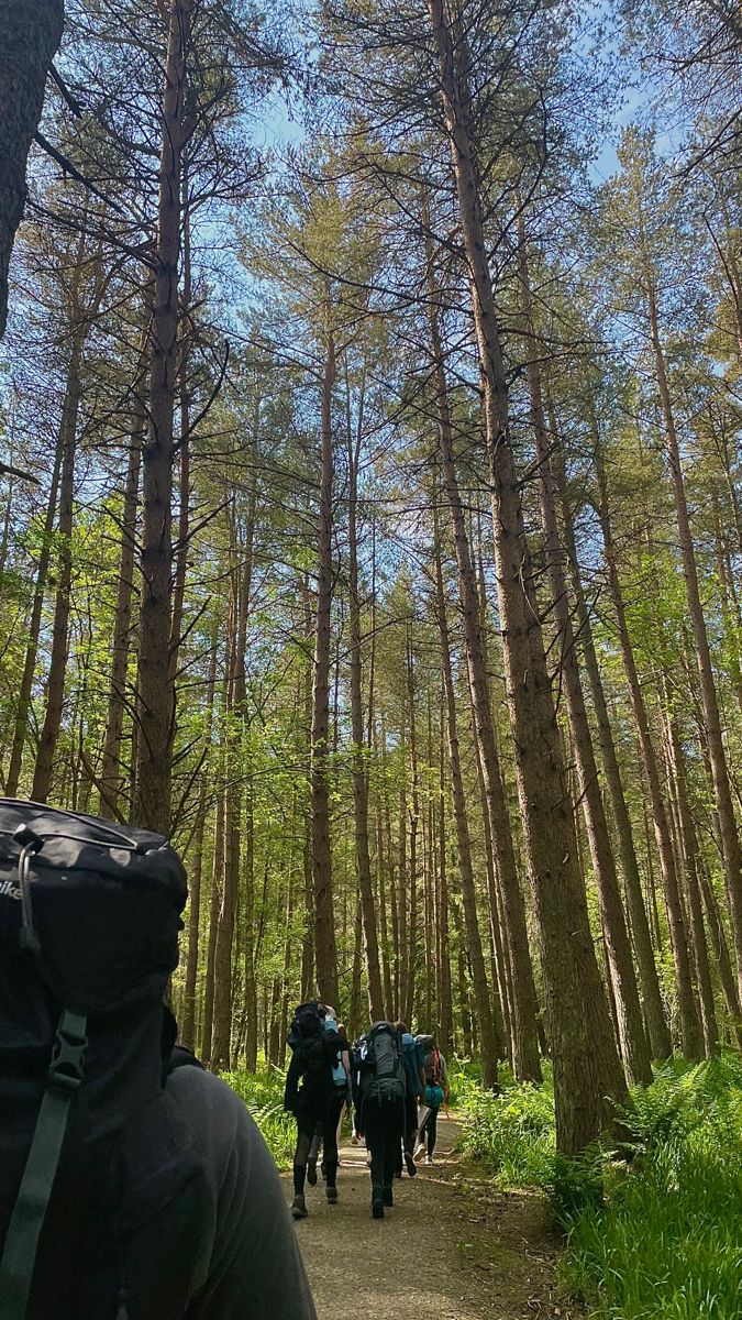 group of people walking in the woods with backpacks