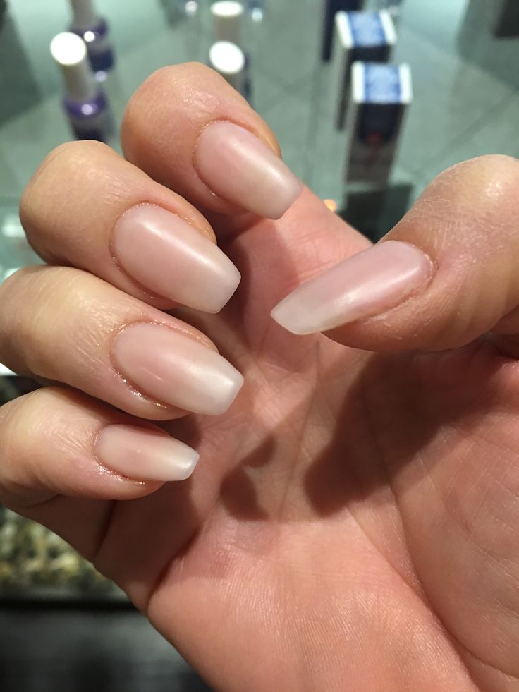 Acrylic nails natural look matte finish Acrylic Nails Natural Look, Nails Natural Look, Natural Looking Acrylic Nails, French Manicure Acrylic Nails, Acrylic Nails Natural, Oval Acrylic Nails, Matte Acrylic Nails, Natural Acrylic Nails, Acrylic Nail Shapes