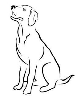 a black and white drawing of a dog