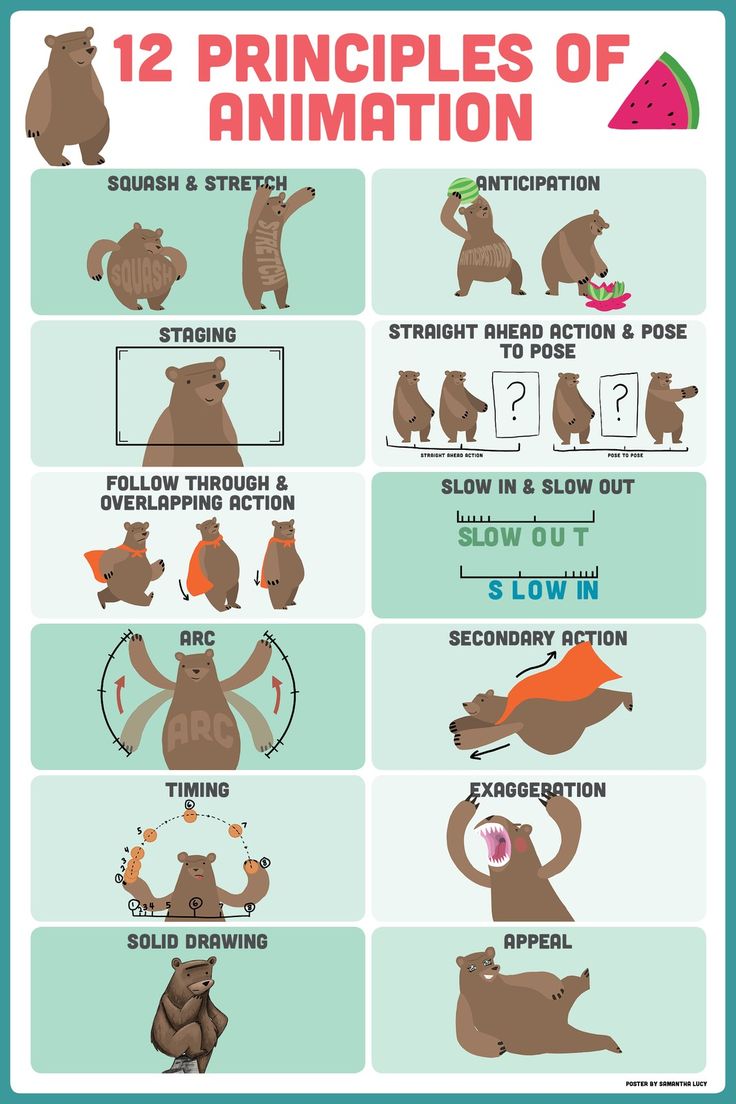 an animal chart with instructions on how to use the numbers for each animal's body