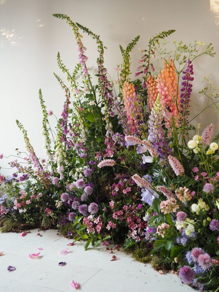 a bunch of flowers that are sitting on the ground in front of a white wall