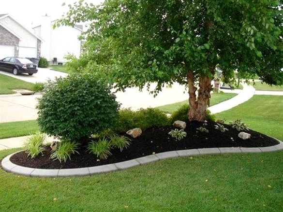 a small tree in the middle of a lawn with rocks and grass around it, next to a driveway