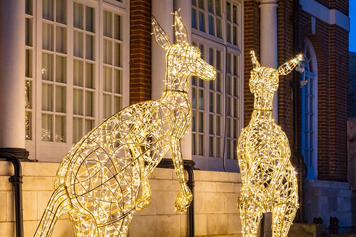 two lighted kangaroos standing next to each other in front of a building