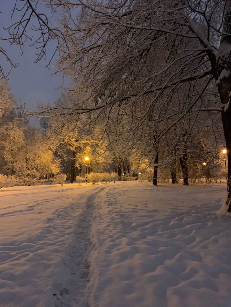 a snow covered park at night with trees and street lights in the distance on a snowy day