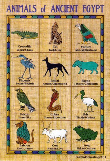 an ancient egyptian animal chart with animals and birds on the bottom, in different colors