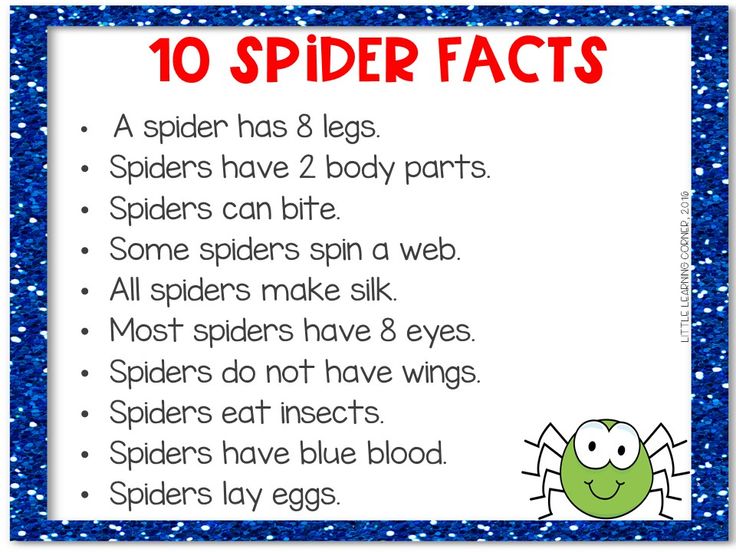 a spider fact poster with the words 10 spider facts