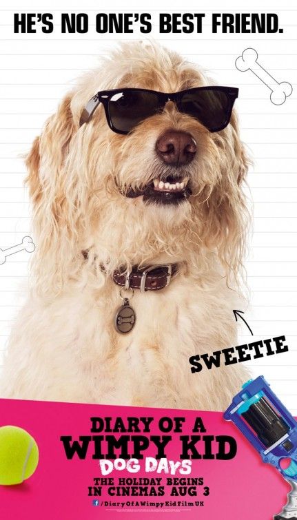 a dog wearing sunglasses and holding a tennis racket in front of a poster for the movie diary of a wimpy kid