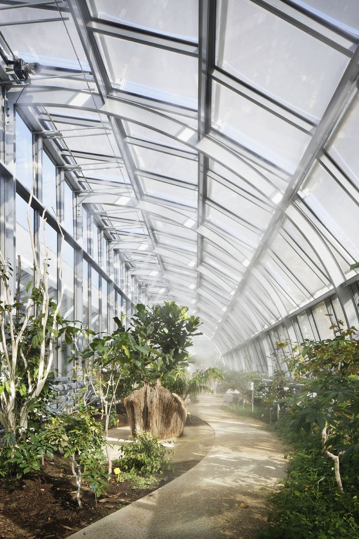 the inside of a greenhouse with lots of trees and plants growing in it's walls