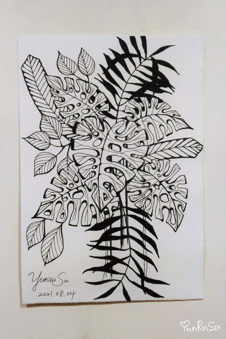 a black and white drawing of leaves