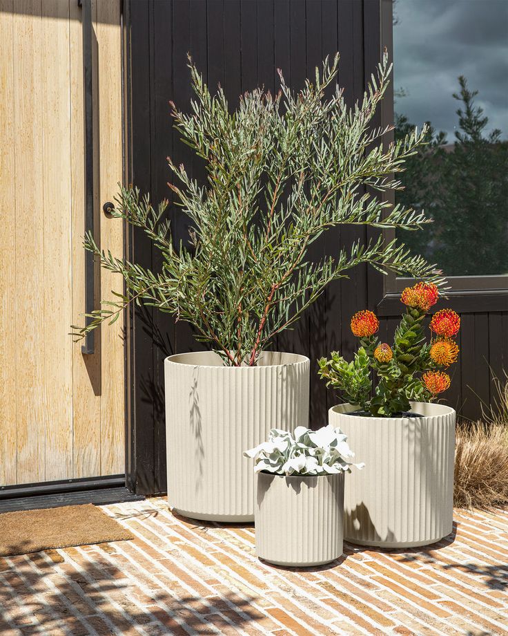 two planters with plants in them sitting on the ground