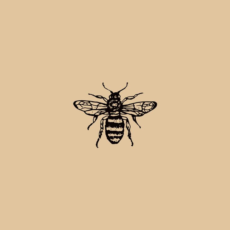 a black and white drawing of a bee on a tan background with the words bees