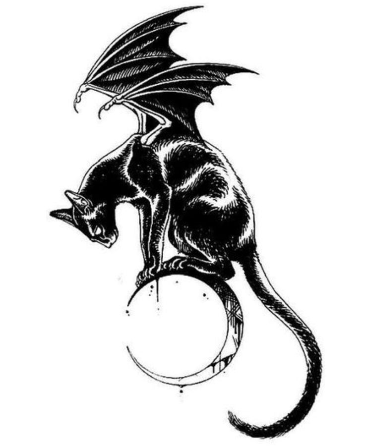 a black and white drawing of a cat sitting on top of a ball with wings