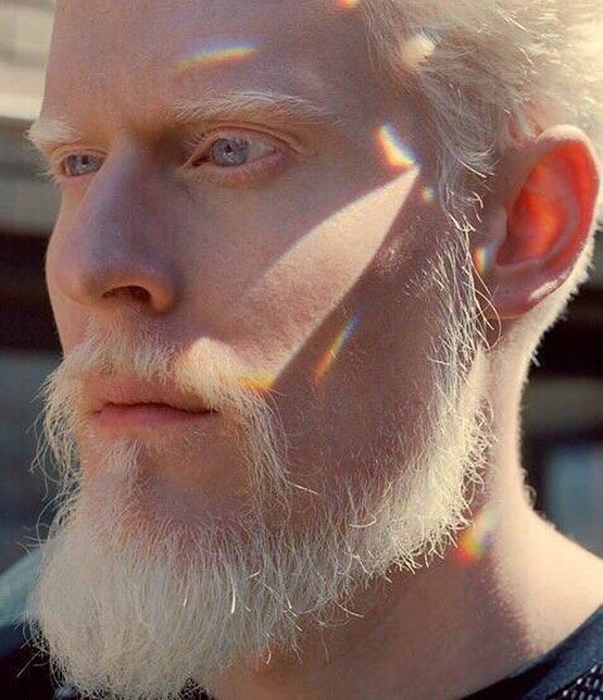 a man with white hair and a beard is looking at the camera while sun shines on his face