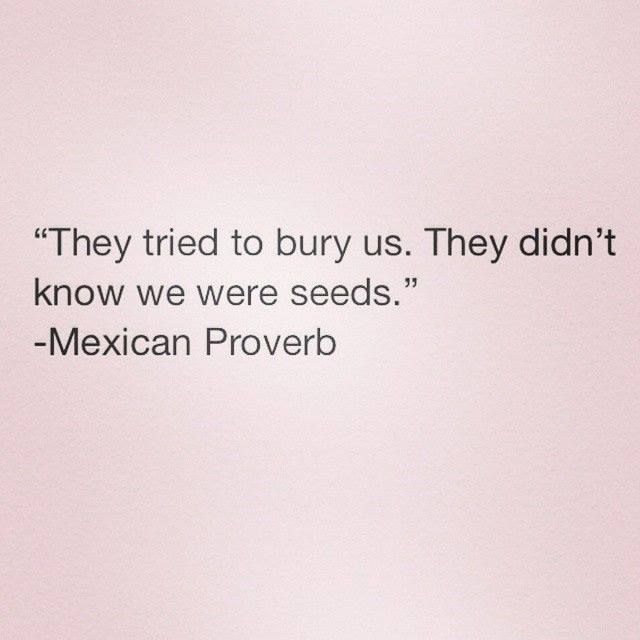 a quote from mexican prove that reads they tried to buy us they didn't know we were seeds