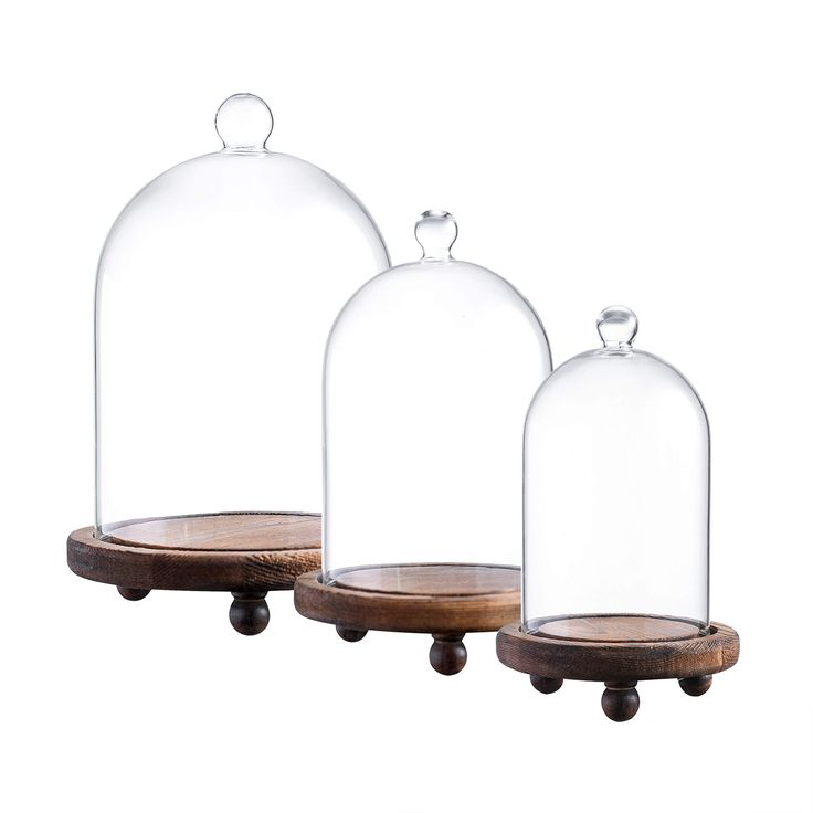 three glass domes with wooden bases on wheels