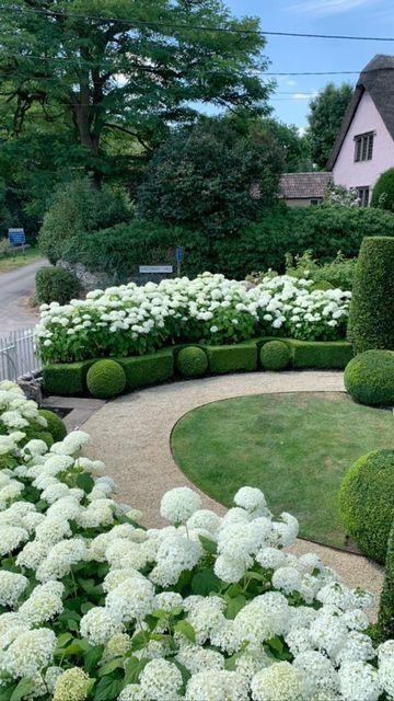 a circular garden with white flowers in the center