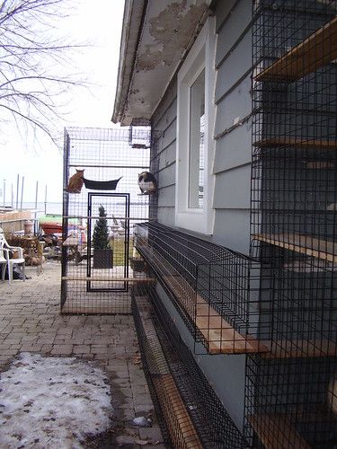 a bird cage sitting on the side of a building next to a sidewalk with snow